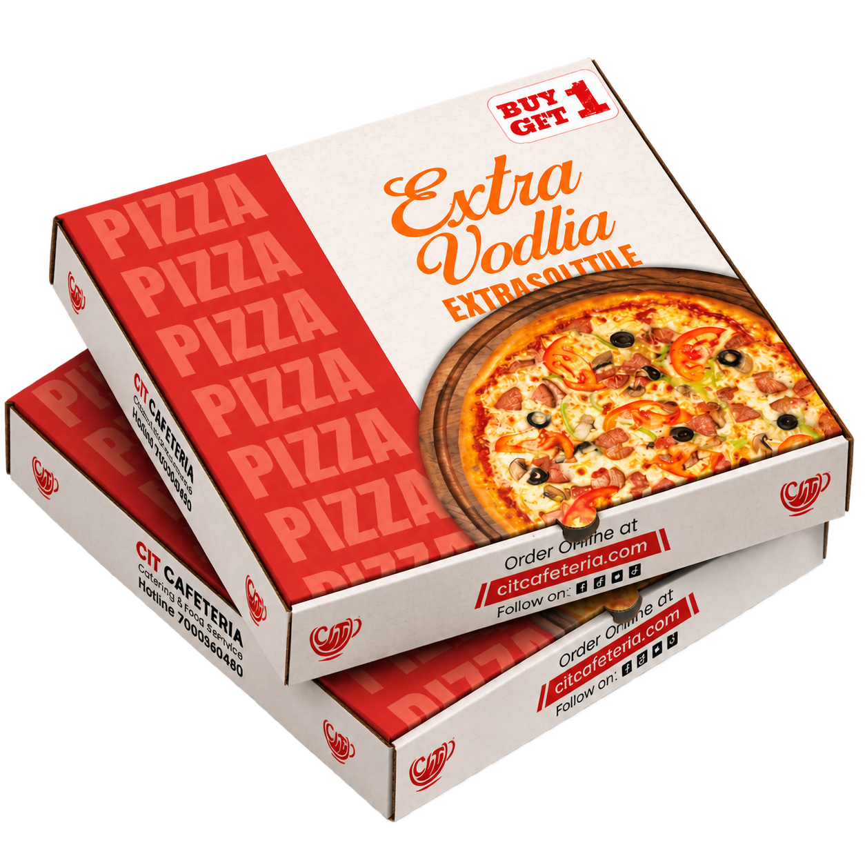 Premium Pizza Packaging